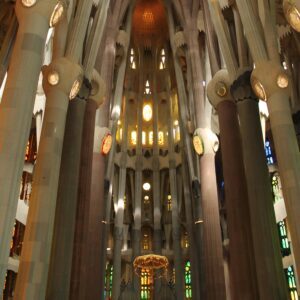 26-S202 Science and Culture: A Creative Interplay - Brian Martin